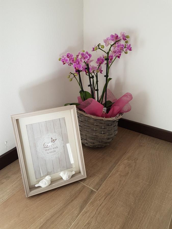 Masetto Egidio Eco-Agritur Villa Strigno Екстериор снимка