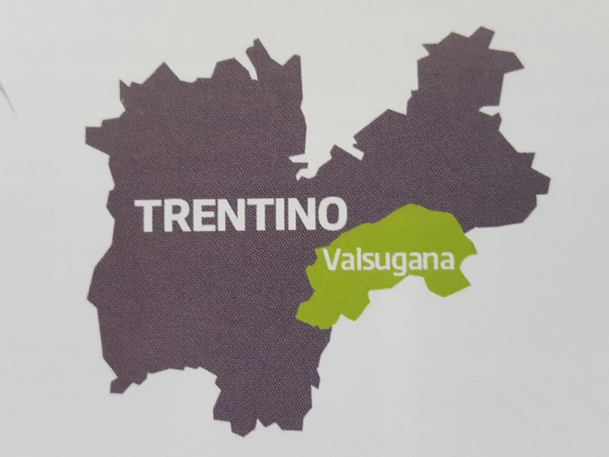 Masetto Egidio Eco-Agritur Villa Strigno Екстериор снимка